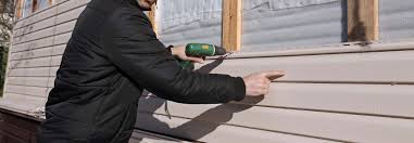 Best Custom Trim and Detailing for Siding  in Benson, MN